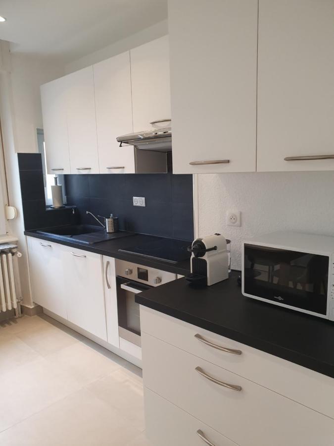 Appartement De Prestige Au Centre Climatise Avec Jardin Prive Colmar Ngoại thất bức ảnh