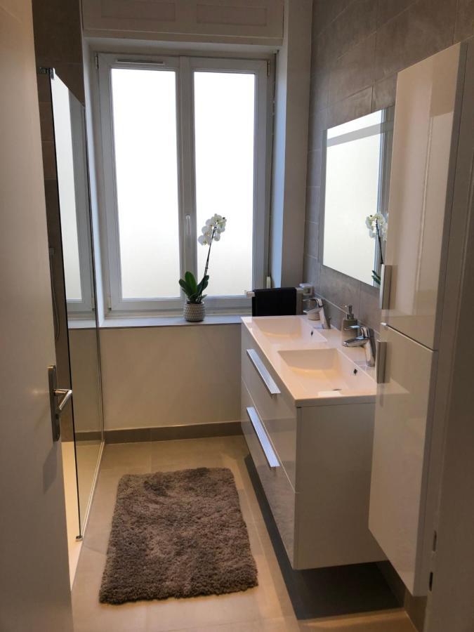 Appartement De Prestige Au Centre Climatise Avec Jardin Prive Colmar Ngoại thất bức ảnh