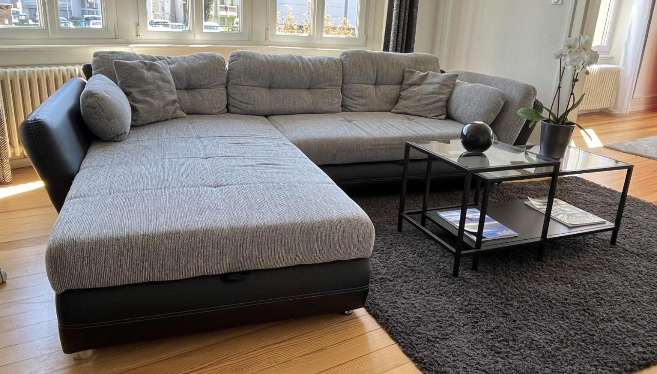 Appartement De Prestige Au Centre Climatise Avec Jardin Prive Colmar Ngoại thất bức ảnh