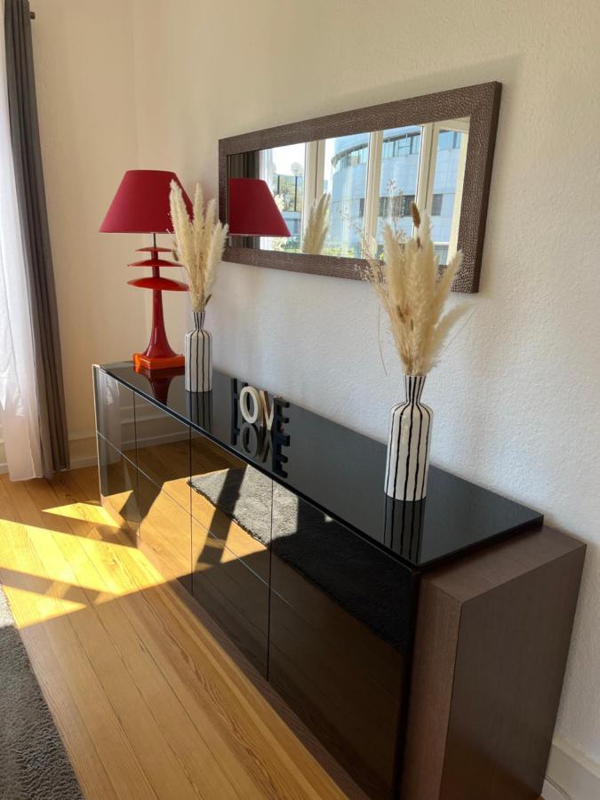 Appartement De Prestige Au Centre Climatise Avec Jardin Prive Colmar Ngoại thất bức ảnh