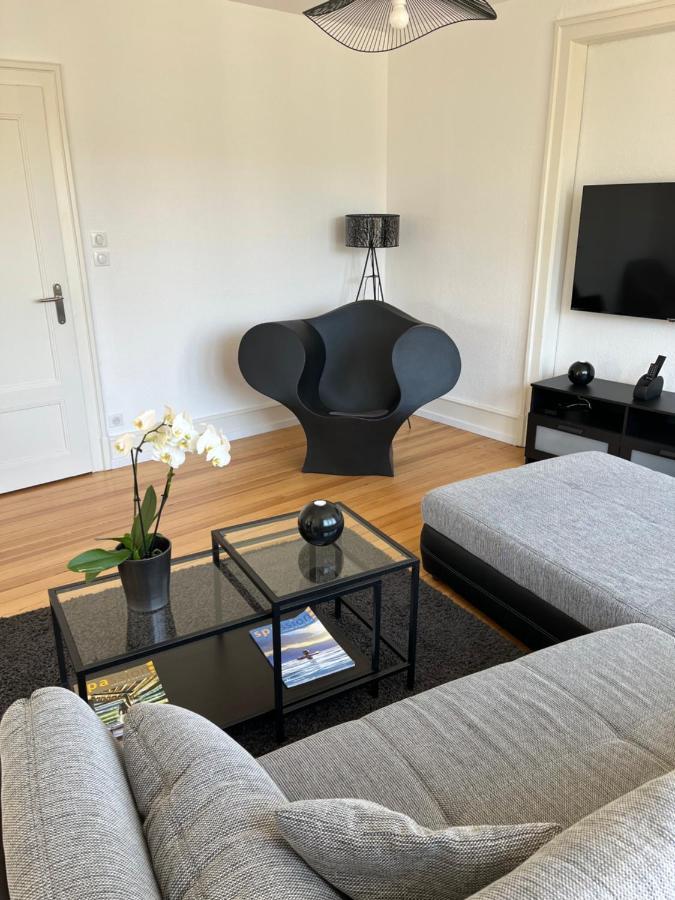 Appartement De Prestige Au Centre Climatise Avec Jardin Prive Colmar Ngoại thất bức ảnh