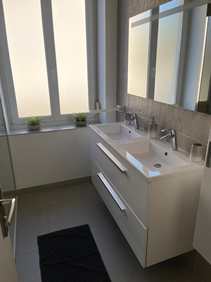 Appartement De Prestige Au Centre Climatise Avec Jardin Prive Colmar Ngoại thất bức ảnh