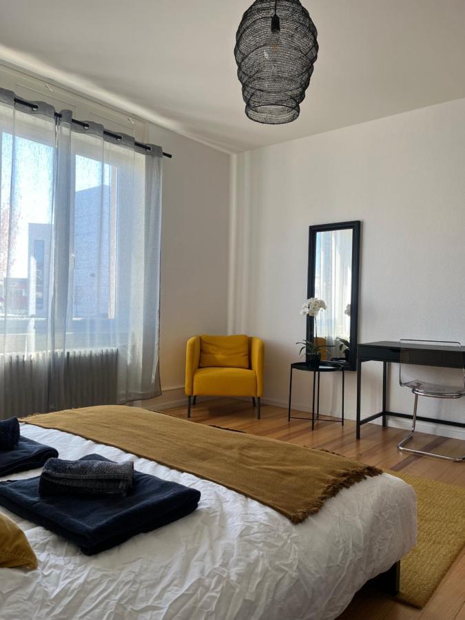 Appartement De Prestige Au Centre Climatise Avec Jardin Prive Colmar Ngoại thất bức ảnh