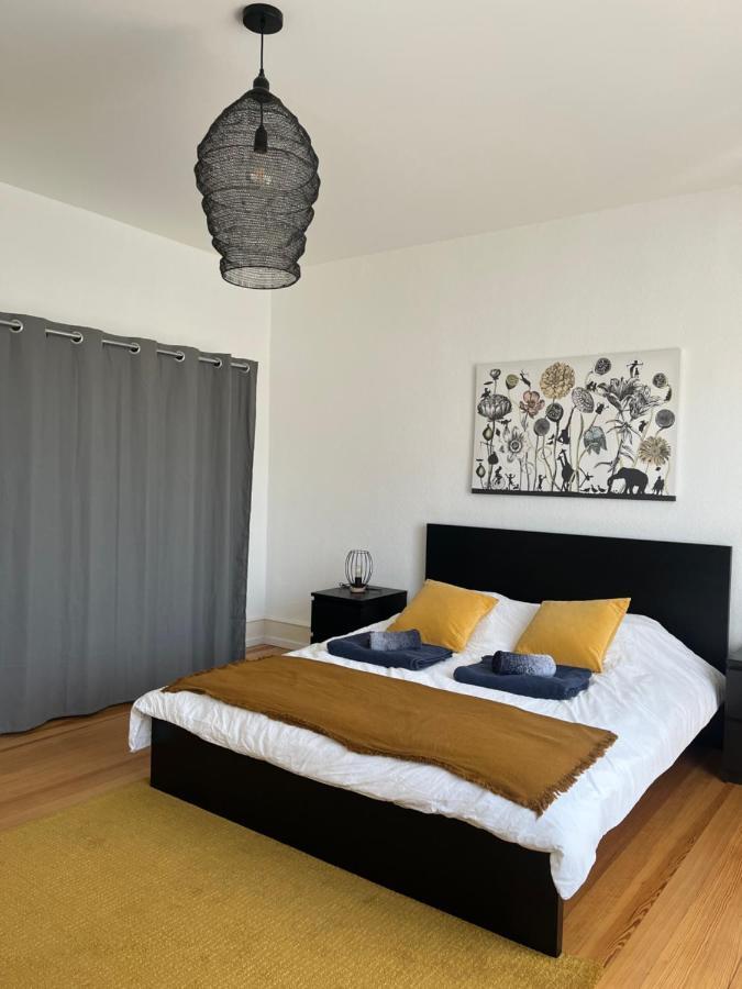 Appartement De Prestige Au Centre Climatise Avec Jardin Prive Colmar Ngoại thất bức ảnh