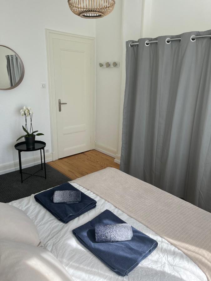 Appartement De Prestige Au Centre Climatise Avec Jardin Prive Colmar Ngoại thất bức ảnh