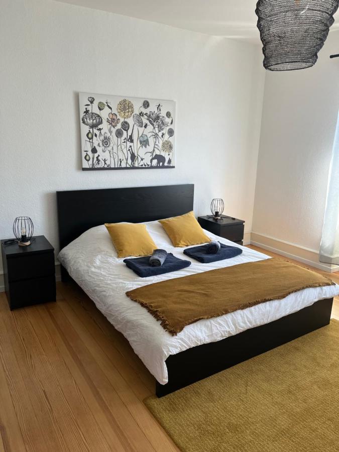 Appartement De Prestige Au Centre Climatise Avec Jardin Prive Colmar Ngoại thất bức ảnh